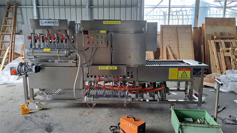 豬腳牛蹄自動(dòng)燎燒絨毛機(jī)，多爐頭、大流量的安全管家 